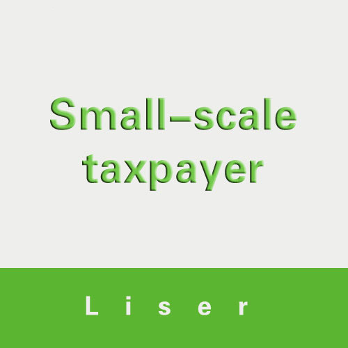 Small-scale taxpayer